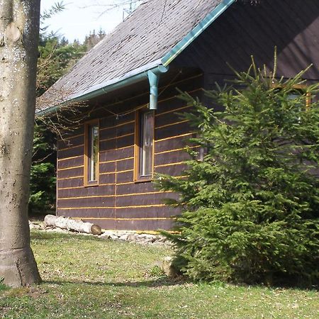 Chata Dvorecna Villa Loučovice Exteriör bild