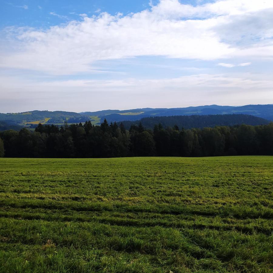 Chata Dvorecna Villa Loučovice Exteriör bild