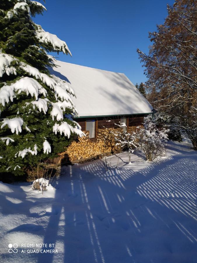 Chata Dvorecna Villa Loučovice Exteriör bild