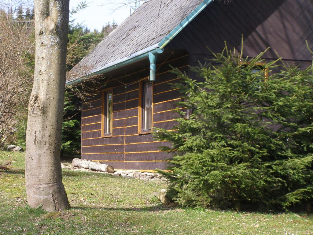 Chata Dvorecna Villa Loučovice Exteriör bild