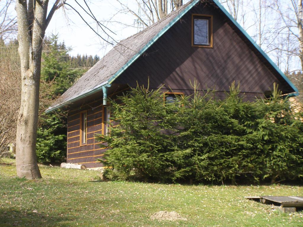 Chata Dvorecna Villa Loučovice Exteriör bild