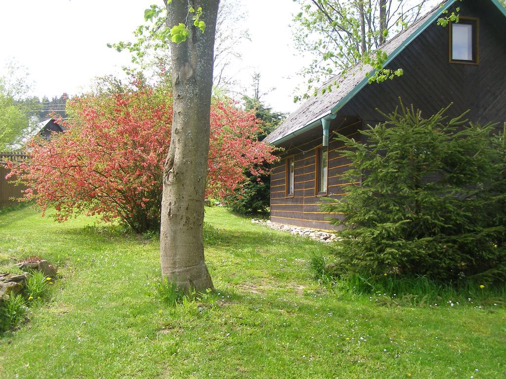 Chata Dvorecna Villa Loučovice Exteriör bild