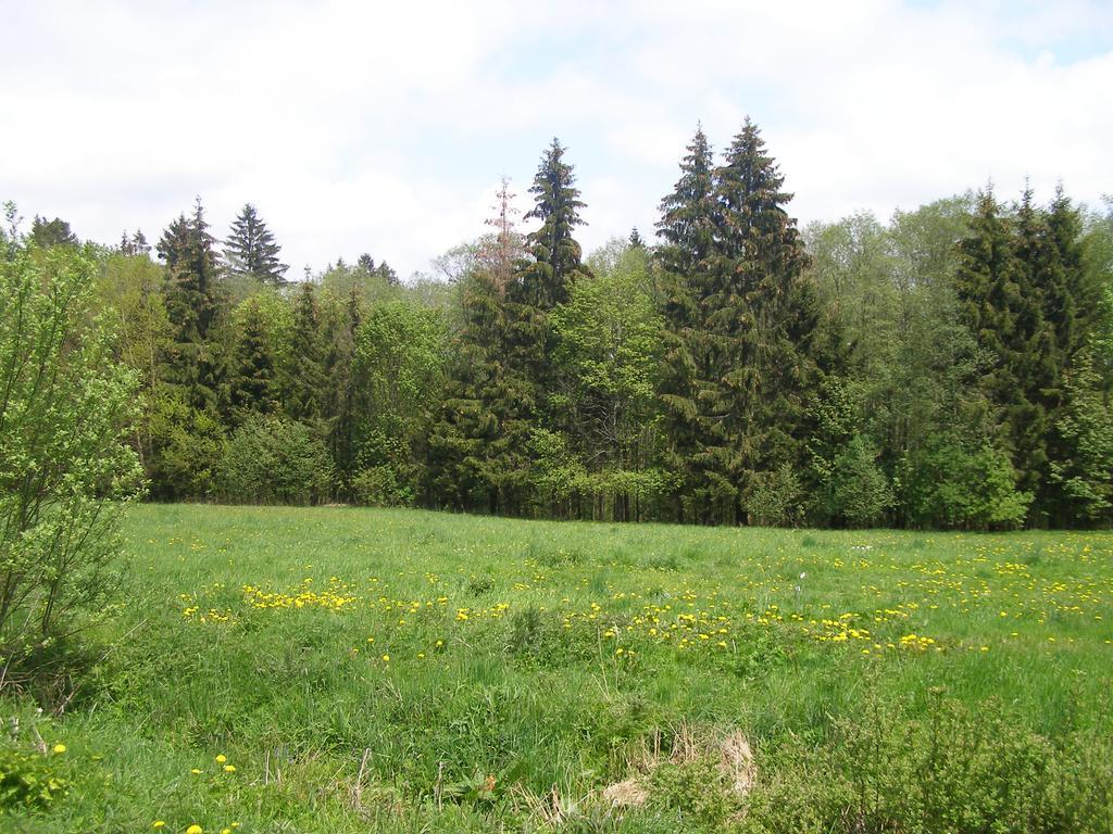 Chata Dvorecna Villa Loučovice Exteriör bild