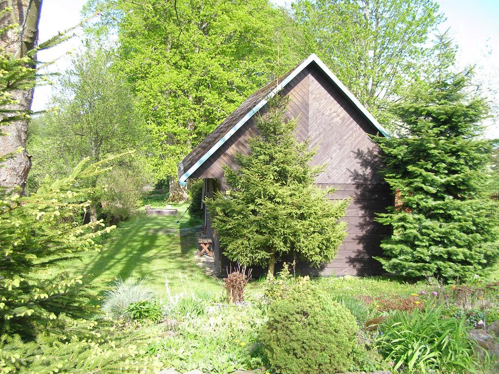 Chata Dvorecna Villa Loučovice Exteriör bild