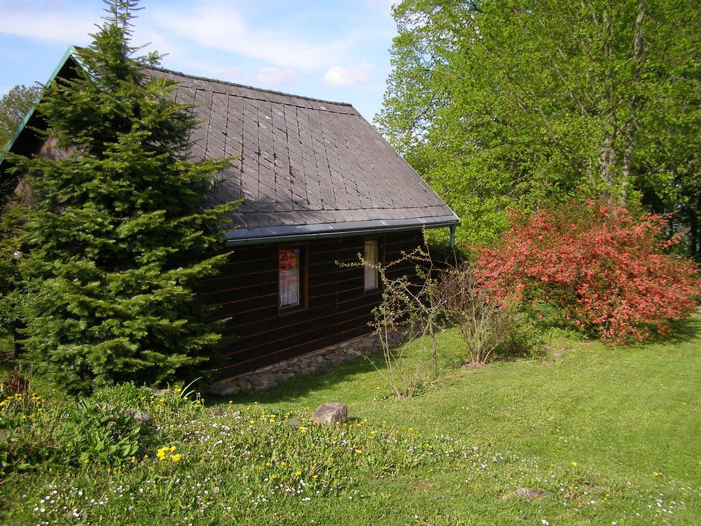 Chata Dvorecna Villa Loučovice Exteriör bild