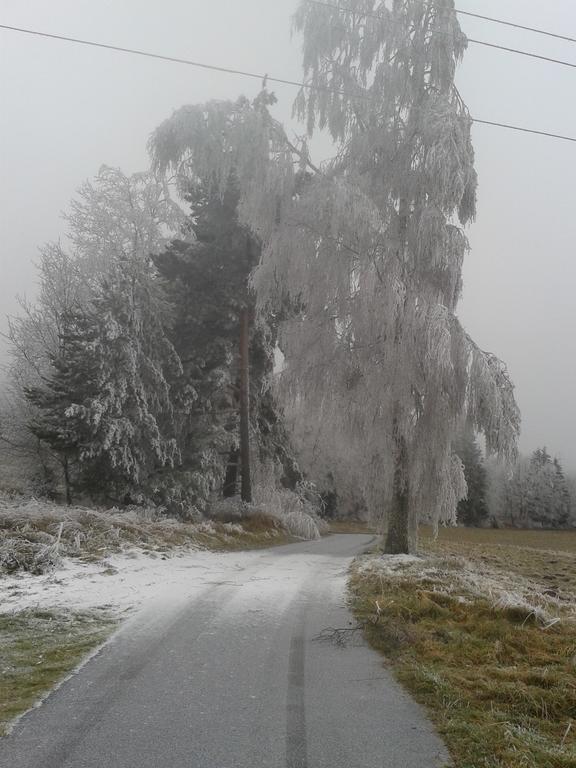 Chata Dvorecna Villa Loučovice Exteriör bild