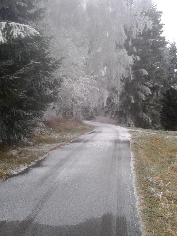 Chata Dvorecna Villa Loučovice Exteriör bild