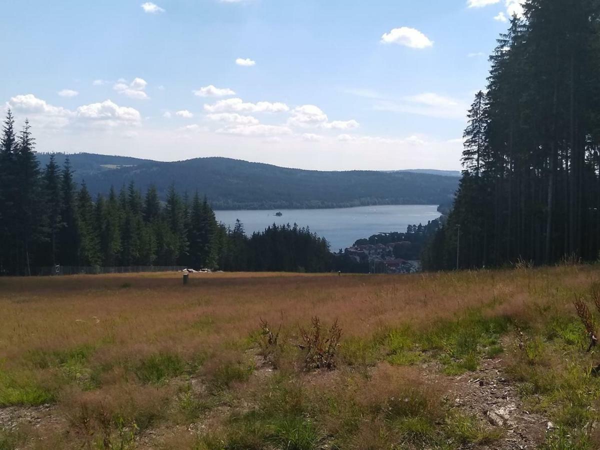 Chata Dvorecna Villa Loučovice Exteriör bild